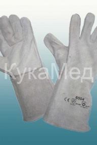 ����� �������� ��������� ���������