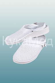 ���� �������