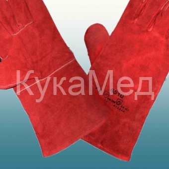 ����� �������� ��������� ���������,����������,���� �������.���� 12