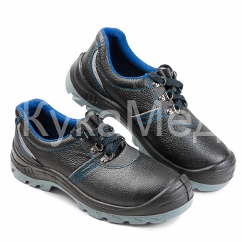 ����������� 23/1 ������. ��������