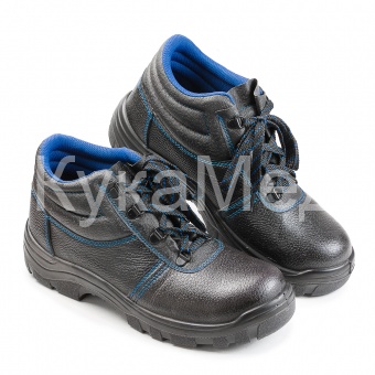 ������� 13 ��